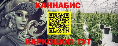 молекула духа Бердск