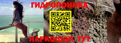 молекула духа Бердск