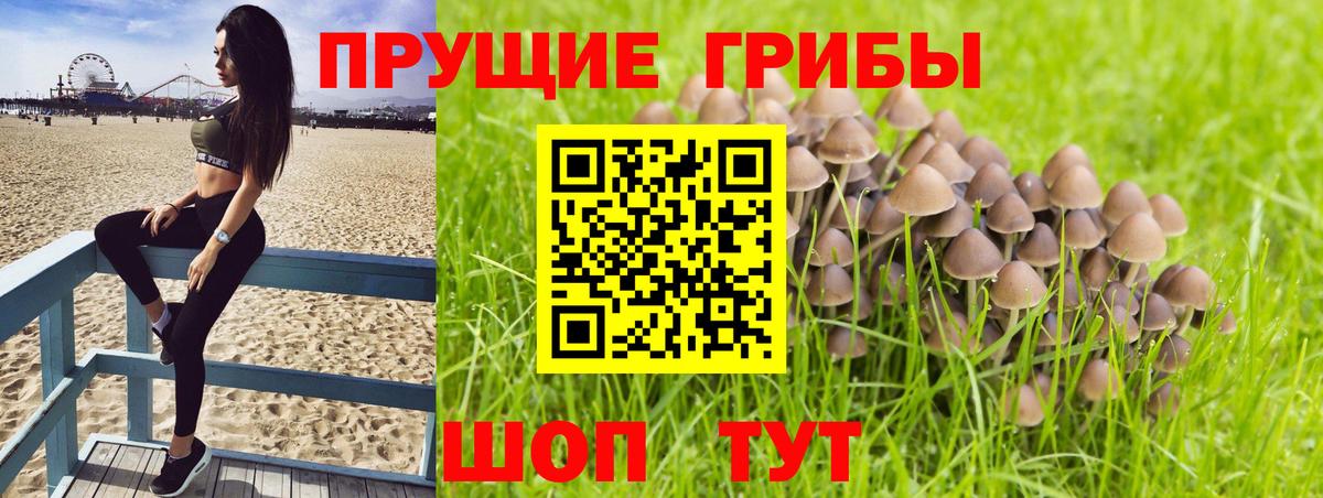 Псилоцибиновые грибы Magic Shrooms Бахчисарай
