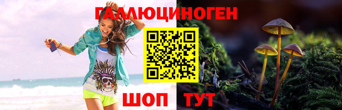 Галлюциногенные грибы MAGIC MUSHROOMS  Вход с VPN  Галлюциногенные грибы GOLDEN TEACHER  Бахчисарай 
